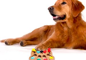 juguetes para perros