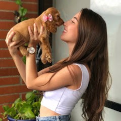 venta de cachorros medellin