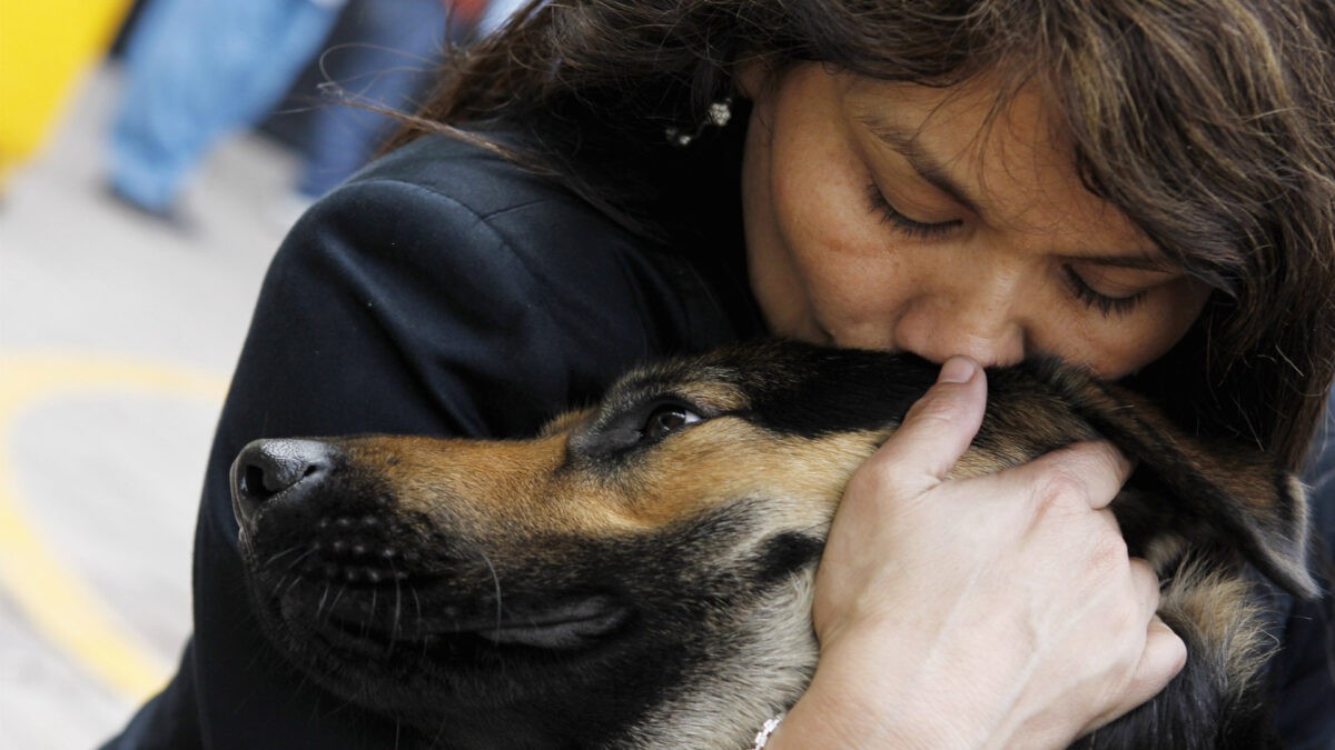 ¡Feliz día de la mamá perruna!